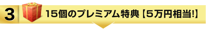 ３、7つのプレミアム特典【3万円相当！】